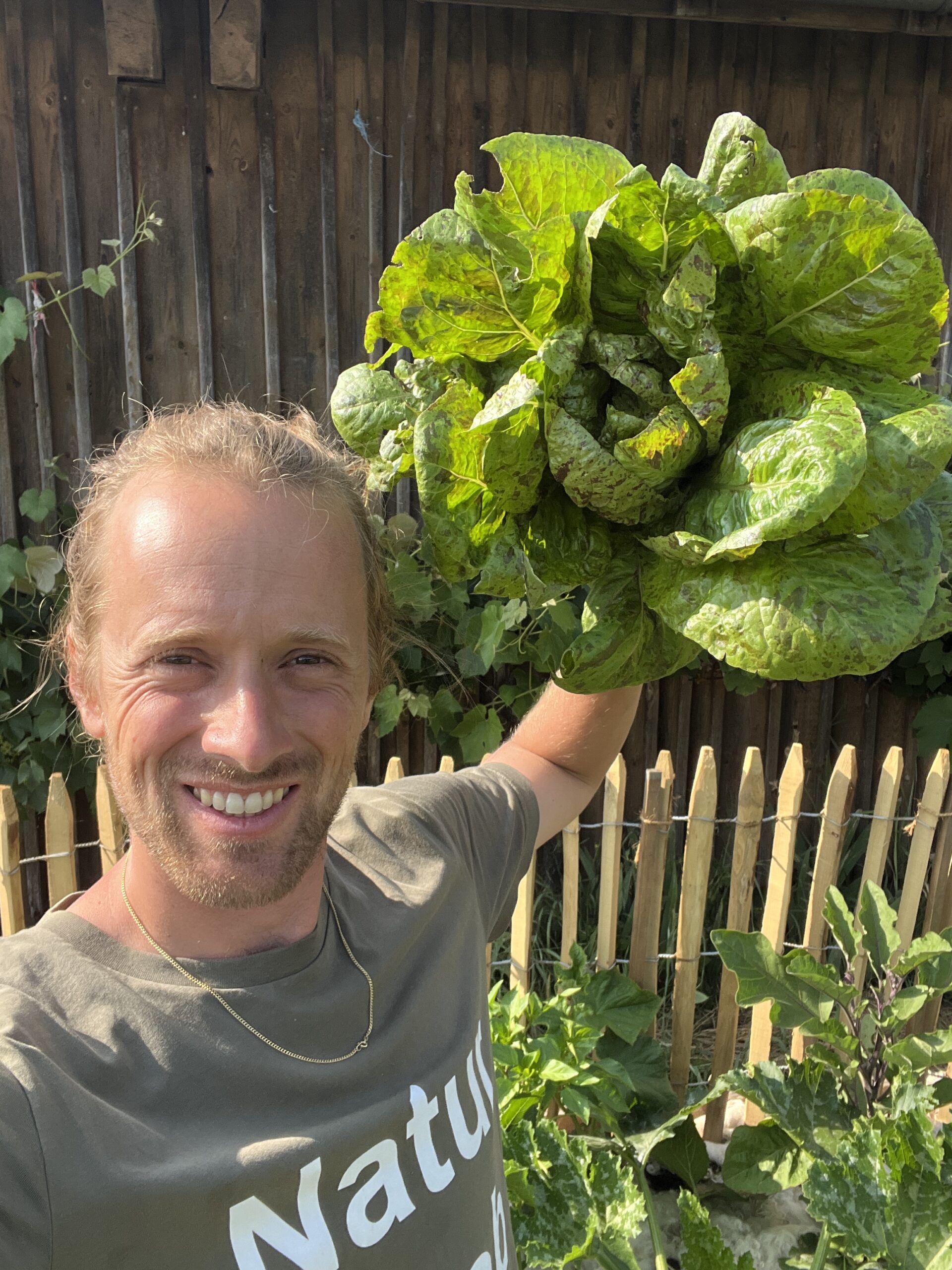 Lucas Meyer Salat Naturgarten Permakultur